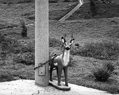 DS00067.jpg