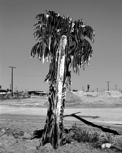 DS00068.jpg