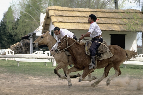 109-86.jpg