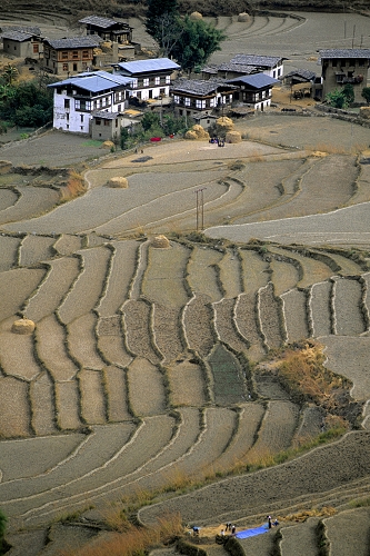 194-81.jpg