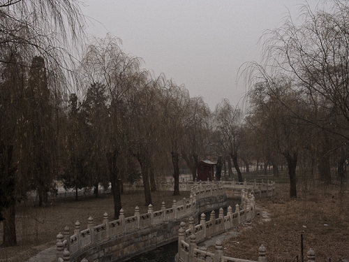 SG_0040.jpg